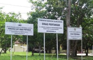 Heboh Dua Bulan Gaji ASN Dinas Pertanian dan PPL se-Tulangbawang Tidak Cair