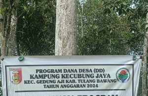 Diduga Pemeliharaan JUT Kampung Kecubung Jaya, Pemborosan Dana Desa
