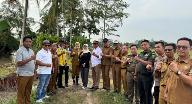 IMG-20250211-WA0028-735x400