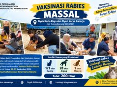 Peringati Bulan Bakti Peternakan 2026, Disnakkeswan Tubaba Vaksinasi 200 Hewan Penular Rabies